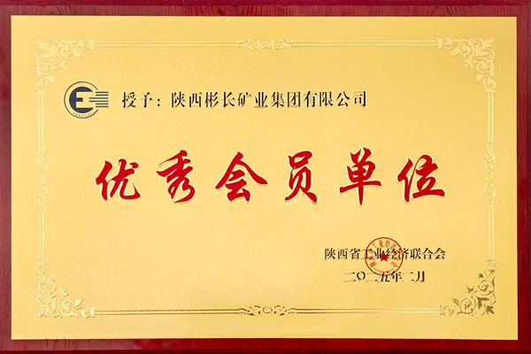 陕西省工业经济联合会2024年度优秀会员单位_副本.jpg